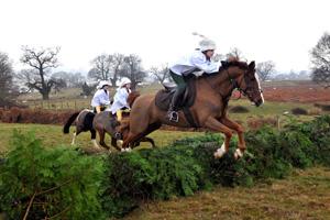 SetWidth300-horse-riding-orwellpark