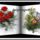 Szep_napot_1190106_5408_t