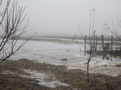 Belvíz 2011 014