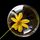Bubiban_a_virag__11397_307801_t