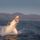 Capali_1001820_7726_t