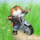 F51bae05356f_1001854_4665_t