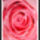 Rozsafej_11412_385799_t