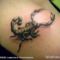 Scorpi Img162796_green_scorpion_tattoo_b