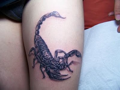 scorpion scorpion_tattoo_design