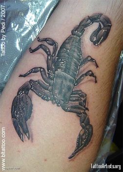 Scorpion tatt