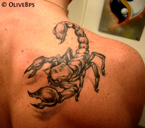 Scorpion Tatto on Scorpion Tattoo Design