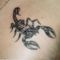 SKORPI -tatuaggi-scorpione--big