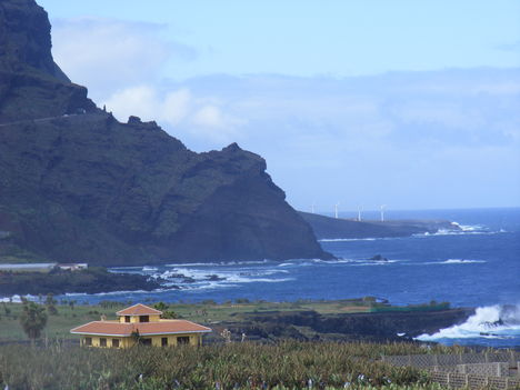 Tenerife, Buenavista del Norte 5