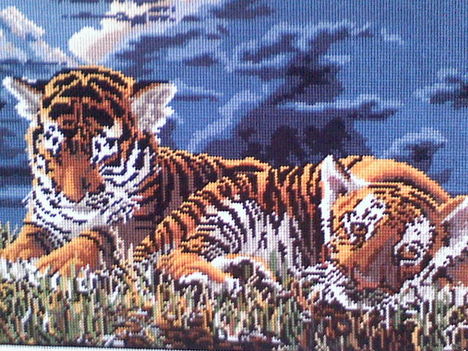 Tigris kölykök 2
