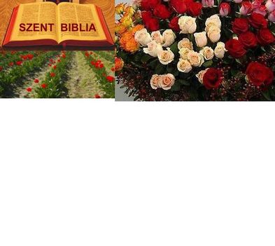 Virágok, melyek Isten dicsőségét hírdetik 3