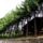 Jager_hotel-005_1211621_5703_t