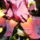 Csodas_szinu_noszirom_1212898_5574_t