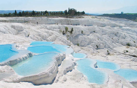 19157_pamukkale_gyapotvar