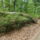 Dscf1108_1213539_2169_t