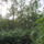 Dscf1110_1213521_6541_t