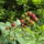 Dscf1112_1213545_5879_t