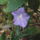 Dscf1114_1213540_8769_t