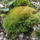 Dscf1121_1213558_6391_t