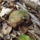 Dscf1124_1213528_5962_t