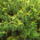 Dscf1128_1213534_7099_t