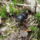 Dscf1129_1213543_8209_t