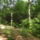 Dscf1133_1213525_9310_t