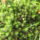 Dscf1139_1213556_7524_t