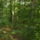 Dscf1144_1213544_9847_t
