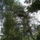Dscf1159_1213551_4474_t