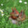 Legyen_uj_orom_az_eletedben_neked_is__1213133_7612_t