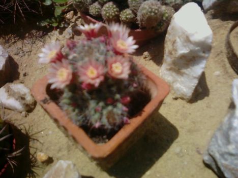 P13-07-11_12.49[1]