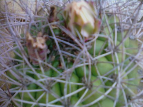 P16-07-11_16.49[3]