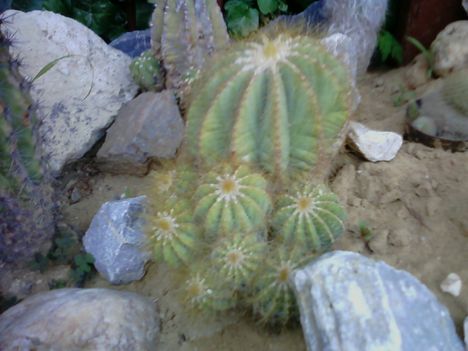P21-06-11_18.19[1]