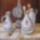 Csendelet_lampaval_1214147_2410_t
