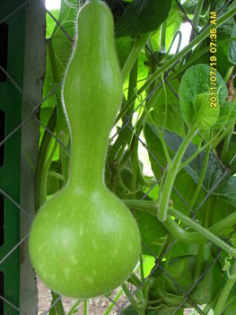 Lopótök