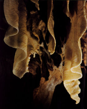 Aggteleki Cseppkőbarlang 2