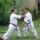 Karate_tabor_szantod_021_1215416_1112_t