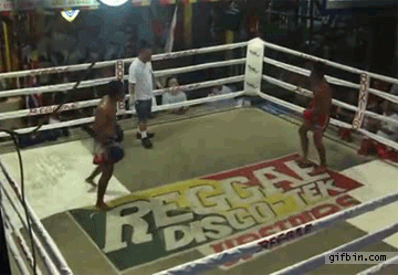 kikbox fighter falls out of the ring-gif