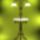 Welt382_450_x_600_1215206_5690_t