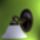 Welt399_450_x_600_1215217_5946_t