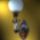 Welt401_450_x_600_1215193_5775_t