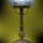 Welt404_450_x_600_1215166_8755_t