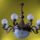 Welt426_600_x_450_1215158_3133_t