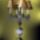 Welt432_450_x_600_1215159_4384_t