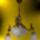 Welt439_450_x_600_1215188_8542_t