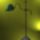 Welt448_450_x_600_1215200_5482_t