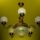 Welt459_600_x_450_1215228_3197_t