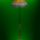 Welt536_450_x_600_1215204_9988_t