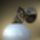 Welt539_450_x_600_1215211_4172_t